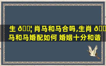 生 🐦 肖马和马合吗,生肖 🕊 马和马婚配如何 婚姻十分和谐